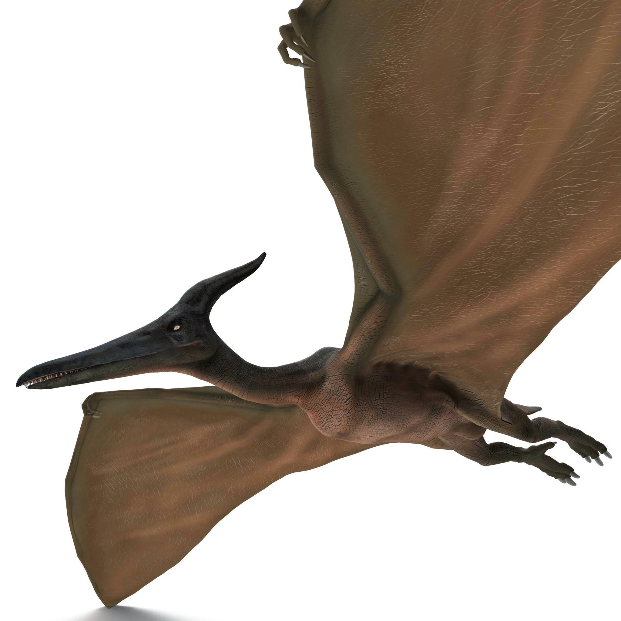 Птиродактель. Птеродактиль. Птеродактиль динозавр. Pteranodon longiceps. Гуйдрако Птерозавр.