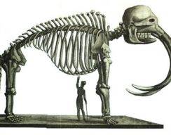 Доисторические животные, которых не было 3