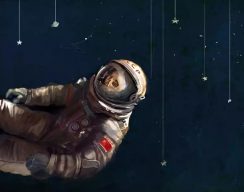 Космонавты до Гагарина. Разоблачение мифа 14