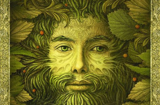 Зелёный рыцарь: Легенды зачарованного леса 1