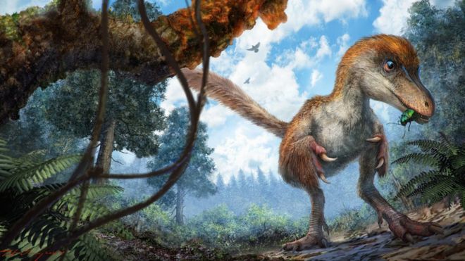 В янтаре обнаружили хвост пернатого миниатюрного динозавра 1