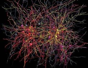 Как работают нейросети 7