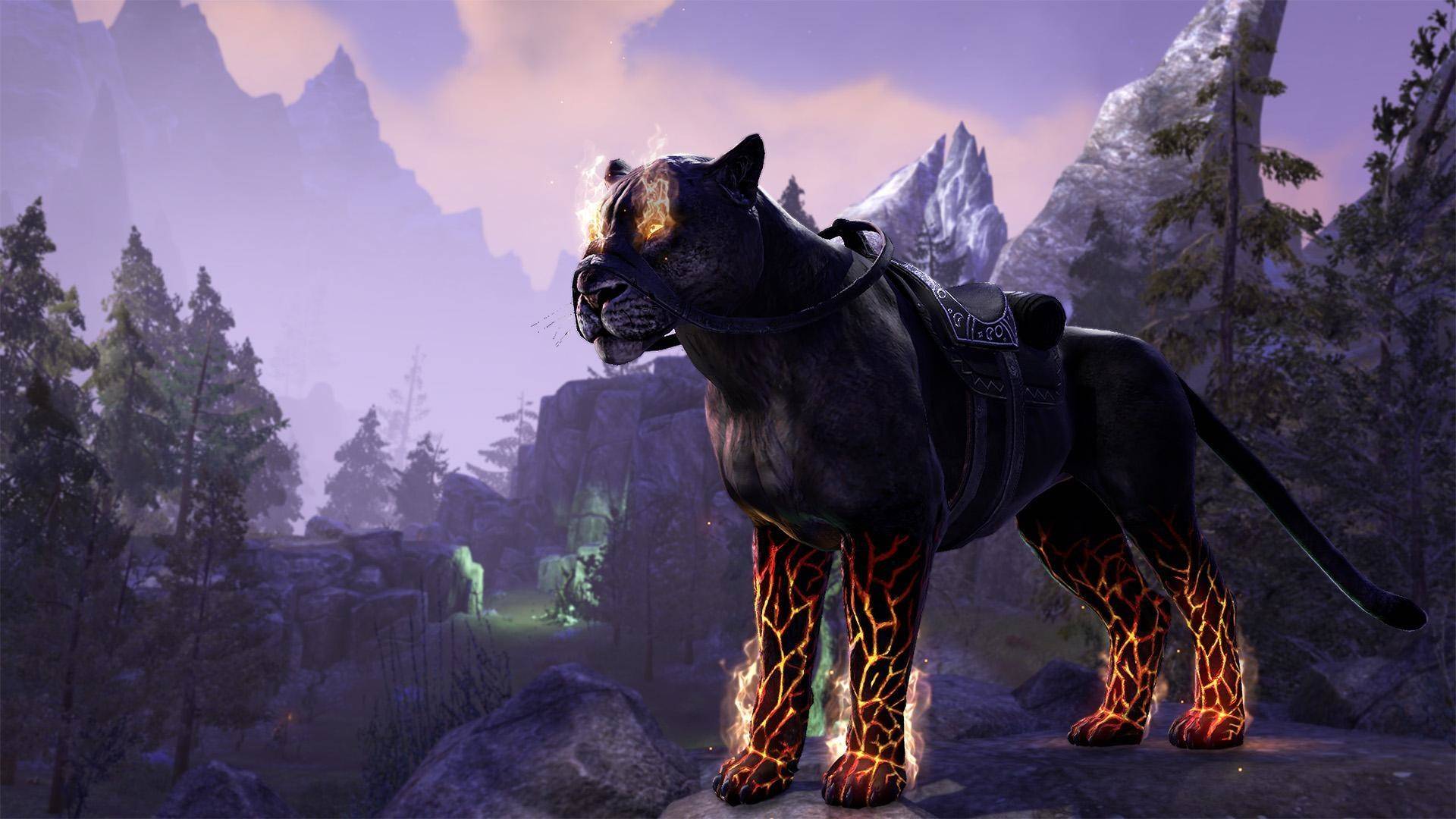 Bethesda представила новое дополнение для The Elder Scrolls Online — Summerset 2