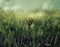 Netflix экранизирует повесть Стивена Кинга и Джо Хилла «Высокая зелёная трава»