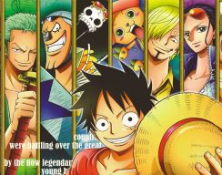 One Piece как культурный феномен 16