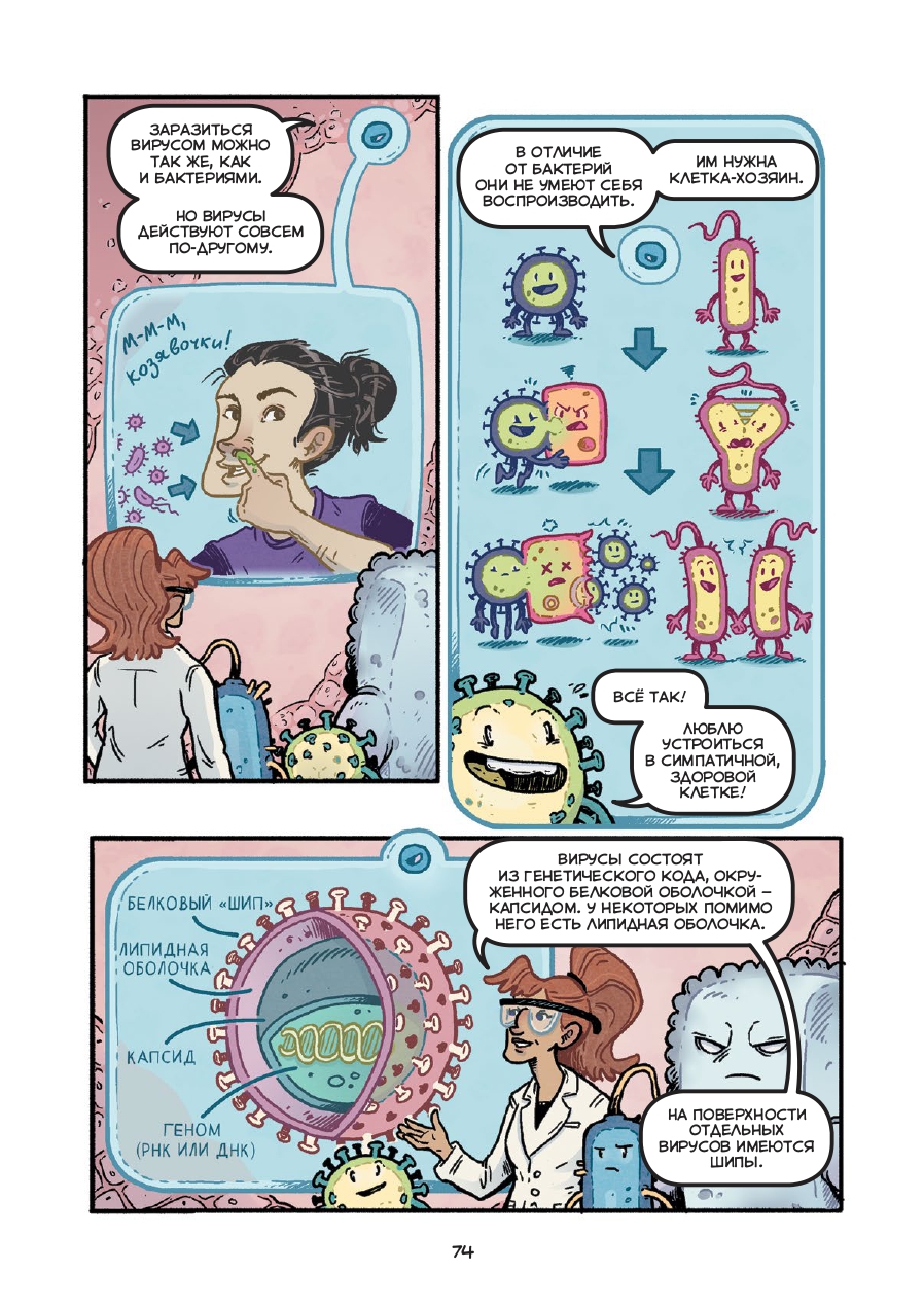 «Вирусы бывают разные»: отрывок из научного комикса «Микробы и вирусы»