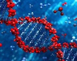 Прямое введение CRISPR в кровь помогло вылечить генетическое заболевание
