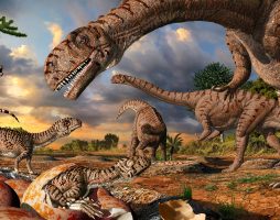 Какими могли быть динозавры? Мозг в заднице, солнечная батарея и другие странные догадки палеонтологов 11
