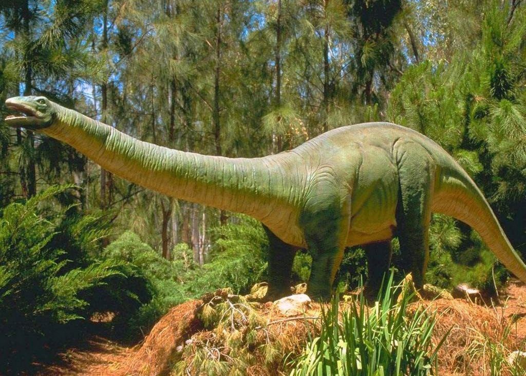 Какими могли быть динозавры? Мозг в заднице, солнечная батарея и другие странные догадки палеонтологов 5