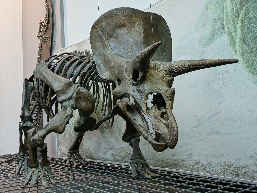 Какими могли быть динозавры? Мозг в заднице, солнечная батарея и другие странные догадки палеонтологов 8