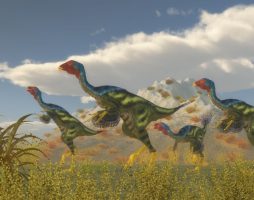 Парк Юрского периода не за горами?В Китае нашли «остатки» оригинальной ДНК динозавра