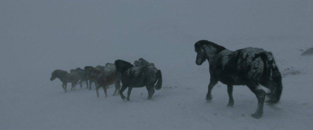«Агнец»: жуткая исландская сказка о туманных барашках 9