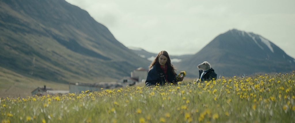 «Агнец»: жуткая исландская сказка о туманных барашках 5