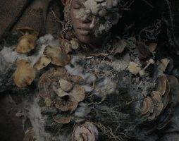 «Гайя»: африканский фильм ужасов о страшных грибах 5