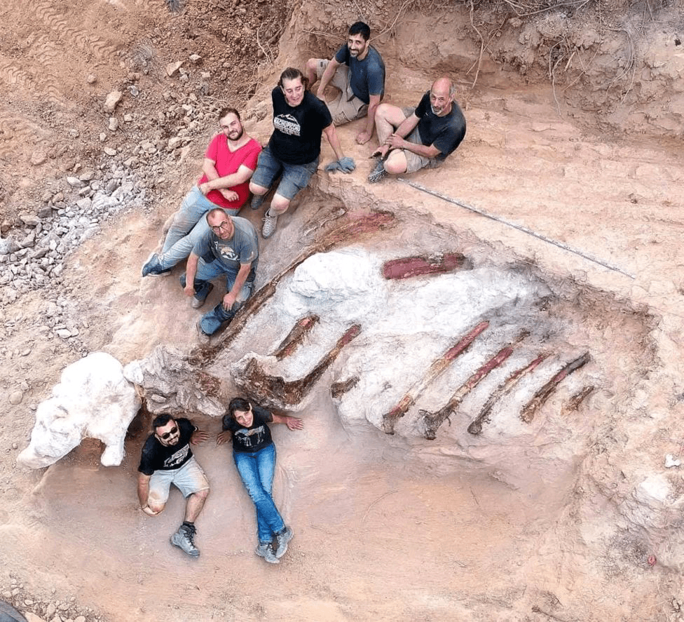 Учёные нашли останки самого большого в Европе динозавра — в саду жилого дома 1