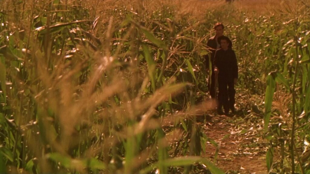 Культ «Детей кукурузы»: все экранизации рассказа Стивена Кинга  14