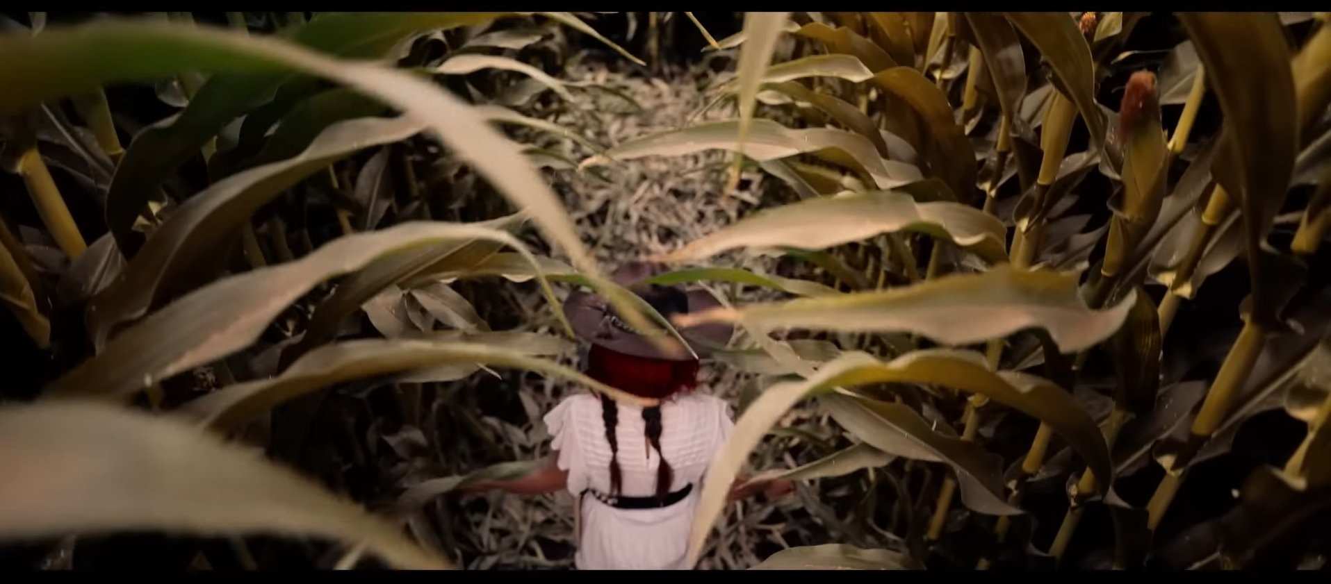 Культ «Детей кукурузы»: все экранизации рассказа Стивена Кинга  25