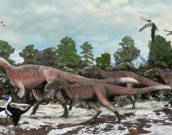 Мороз против ящеров: как динозавры справлялись с холодом 9