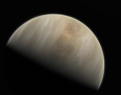 Есть ли жизнь на Венере? Скорпионы и черные лоскуты с Планеты Бурь 5