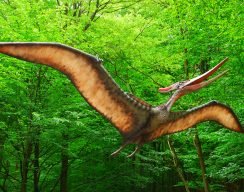 Птерозавры. Как выглядели и жили летающие родственники динозавров 7
